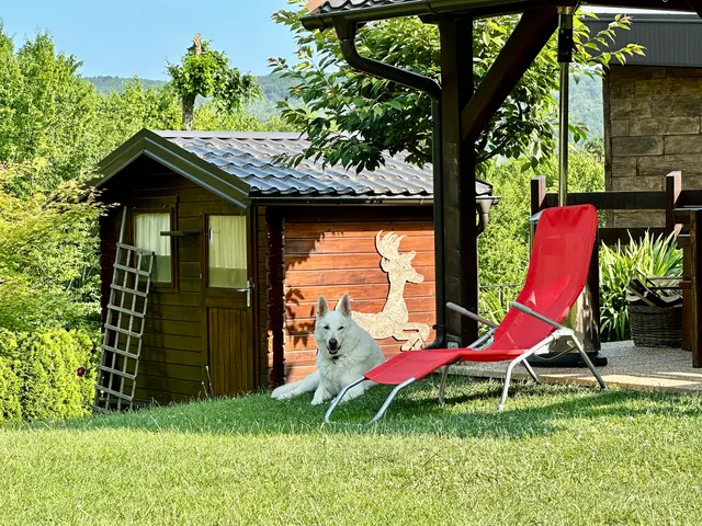 A dog resting beside a garden cabin, Croatia