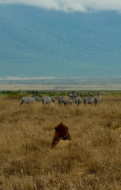 Wildlife on an open grassy plain, Tanzania