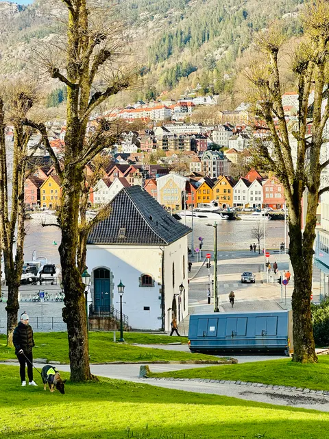 A hillside neighborhood beneath bare branches, Norway