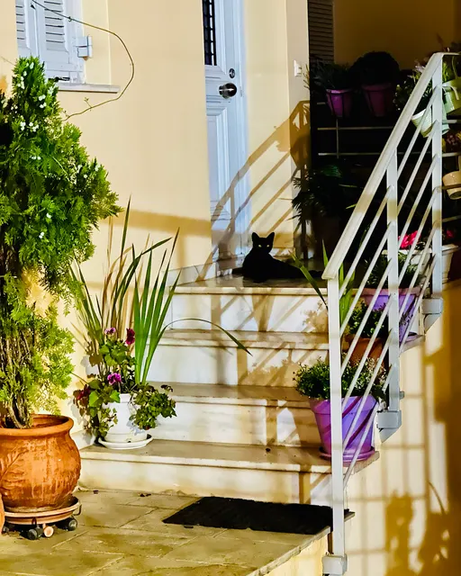 A quiet courtyard with potted plants, Greece