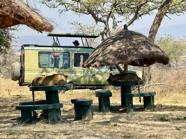 A safari vehicle beside a thatched shelter, Tanzania
