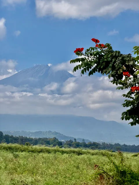 Open grassland beneath a bright sky, Tanzania