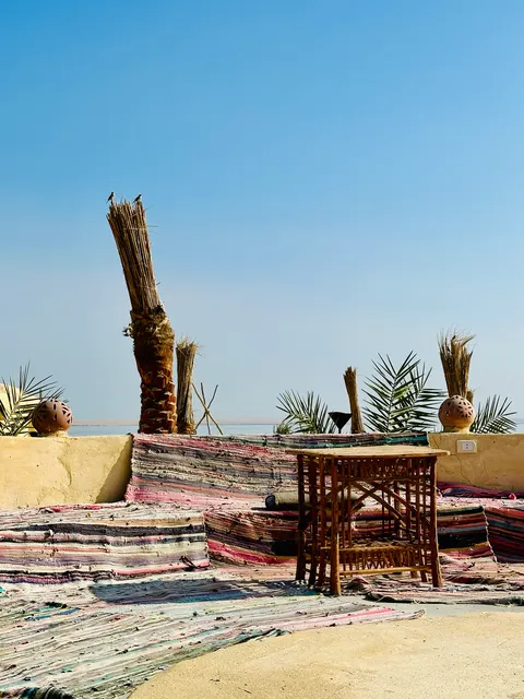 Palm trees beside a desert terrace, Egypt