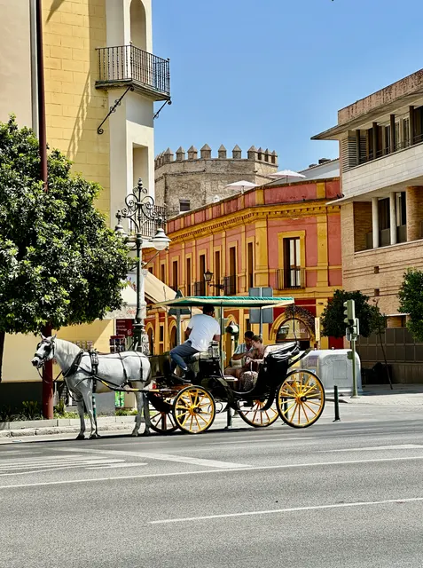 A horse-drawn carriage beside colorful buildings, Spain