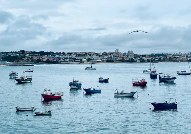 Fishing boats in a sheltered bay, Portugal