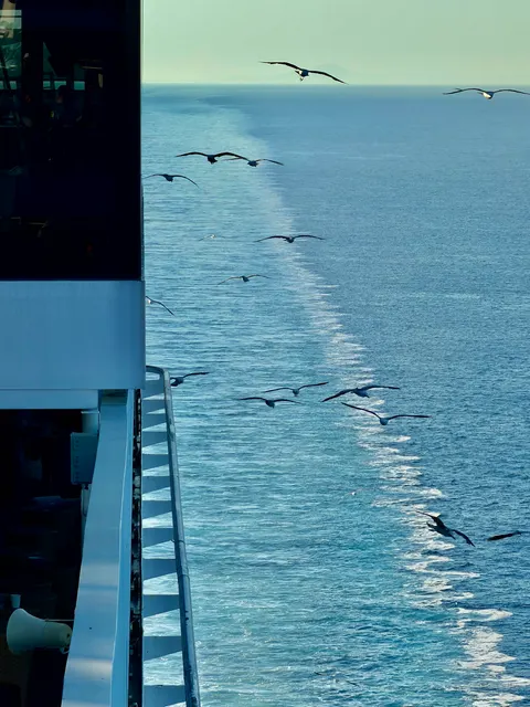 A ferry’s wake across the sea, Italy