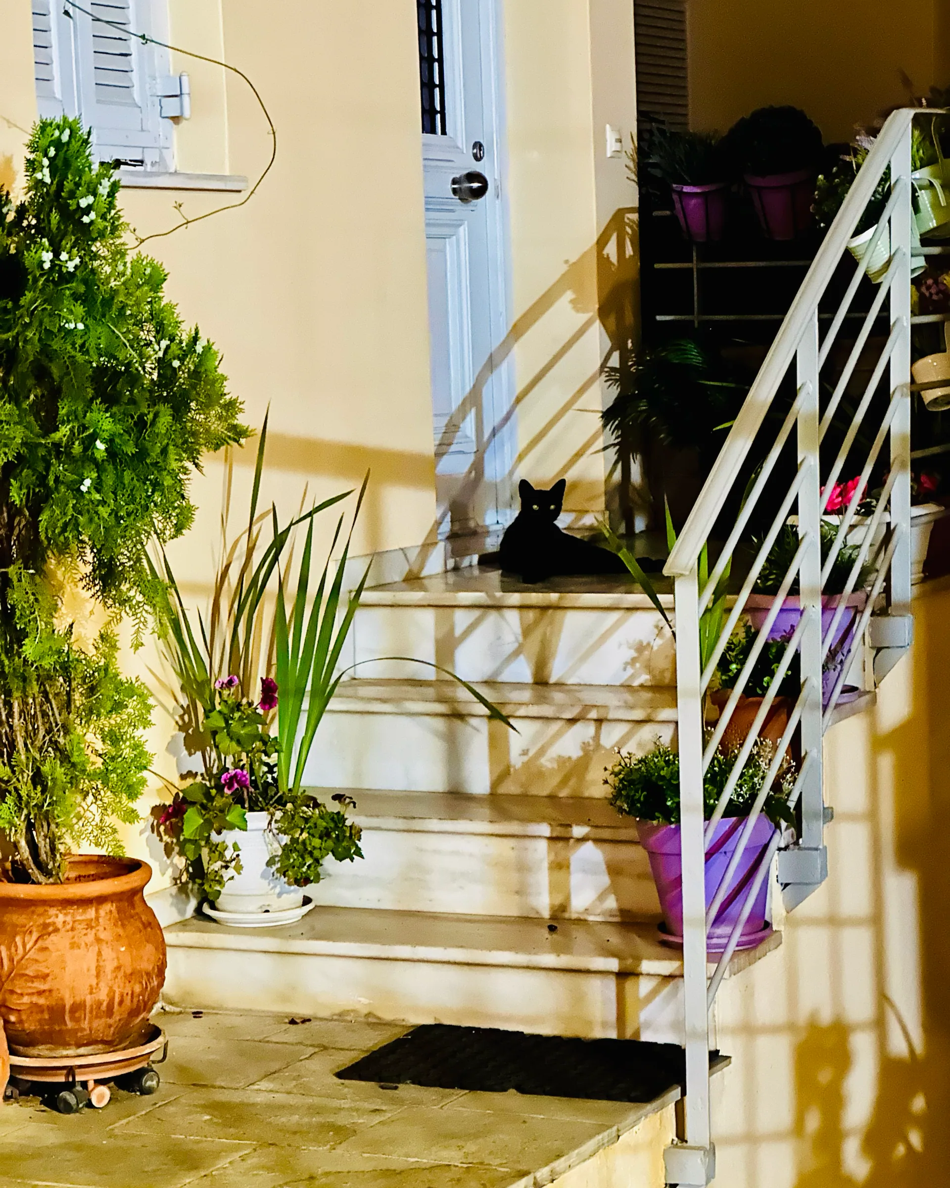 A quiet courtyard with potted plants, Greece