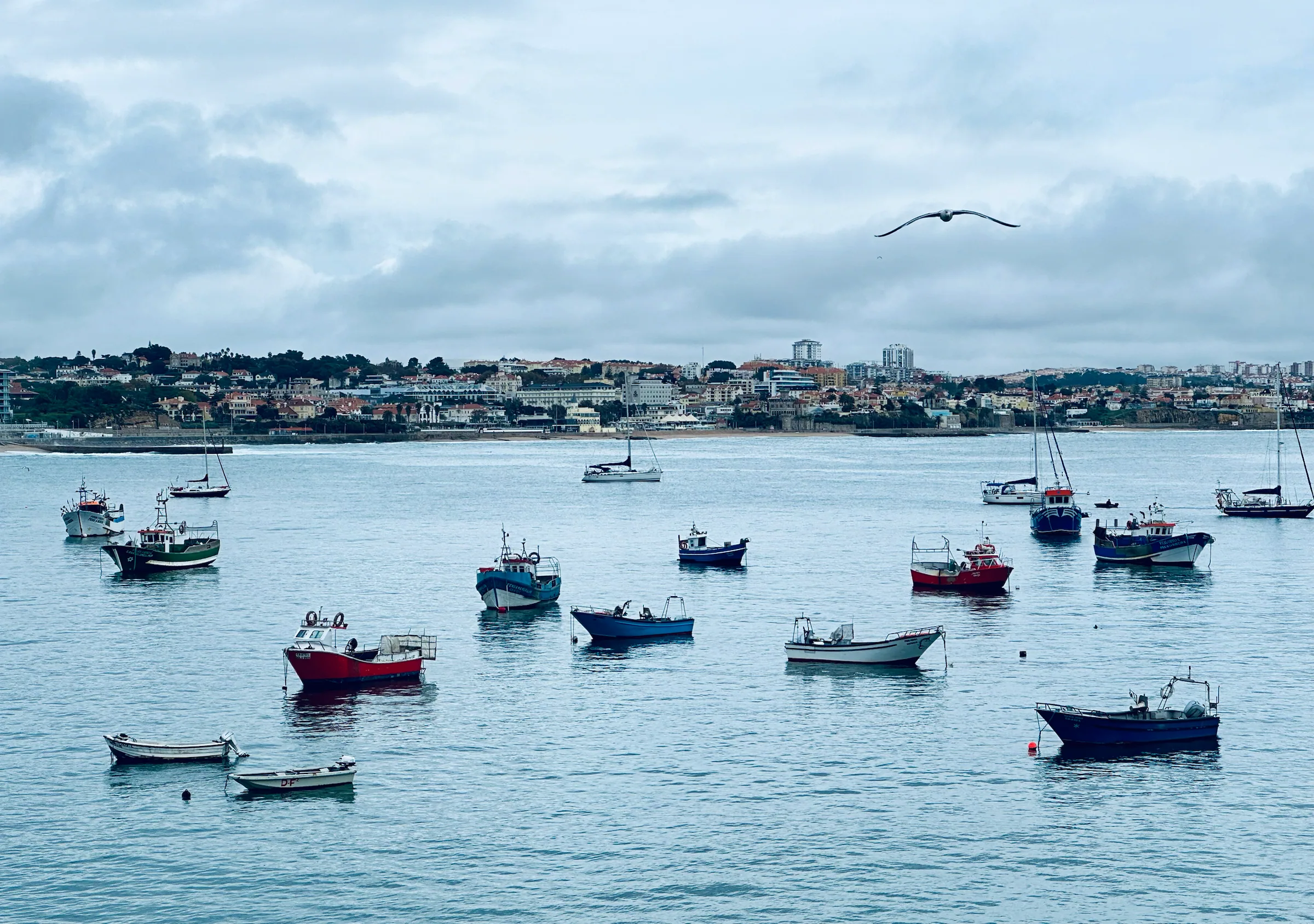 Fishing boats in a sheltered bay, Portugal
